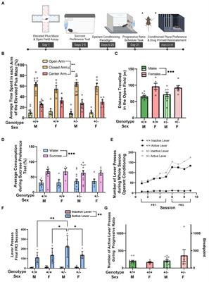 Haploinsufficiency of the Parkinson’s disease gene synaptojanin1 is associated with abnormal responses to psychomotor stimulants and mesolimbic dopamine signaling